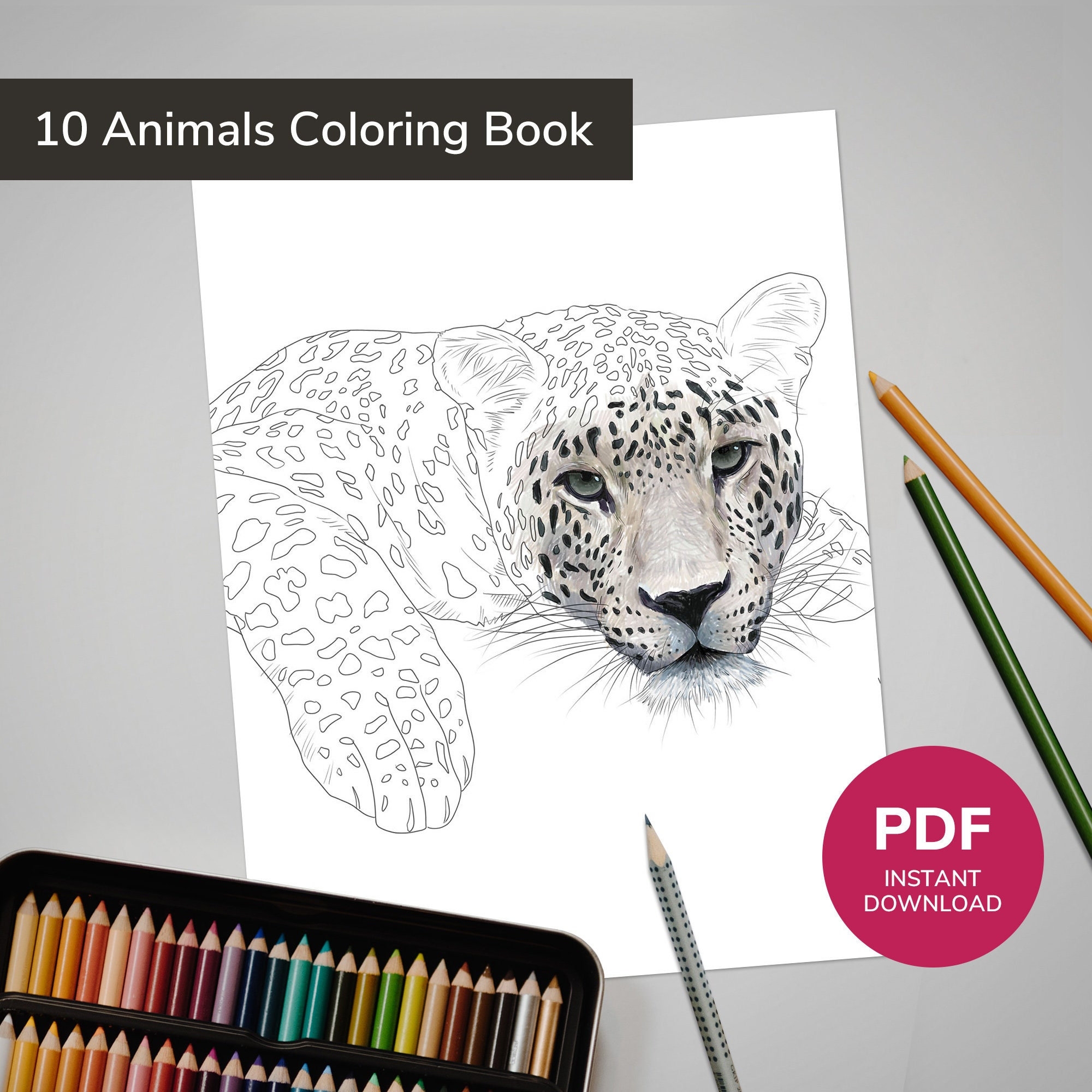 10 Realistic Animal Coloring Book Wildlife Coloring Pages Wild Animal Coloring Illustrations For Adult Kids And Teens INSTANT DOWNLOAD Etsy