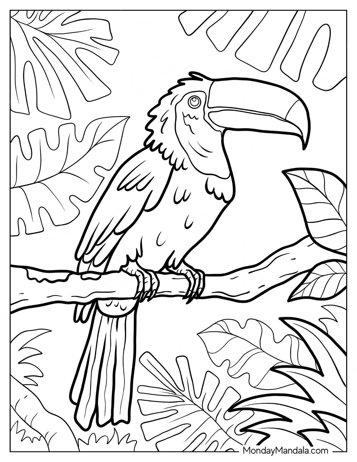 coloring pages for rainforest animals
