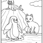 25 Free Arctic Animals Coloring Pages For Kids