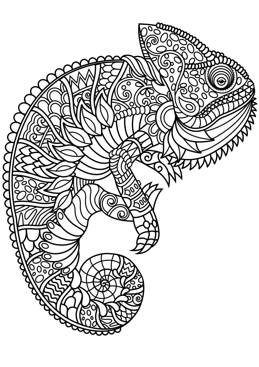 64 Snakes And Reptiles Coloring Pages Ideas Coloring Pages Animal Coloring Pages Adult Coloring Pages