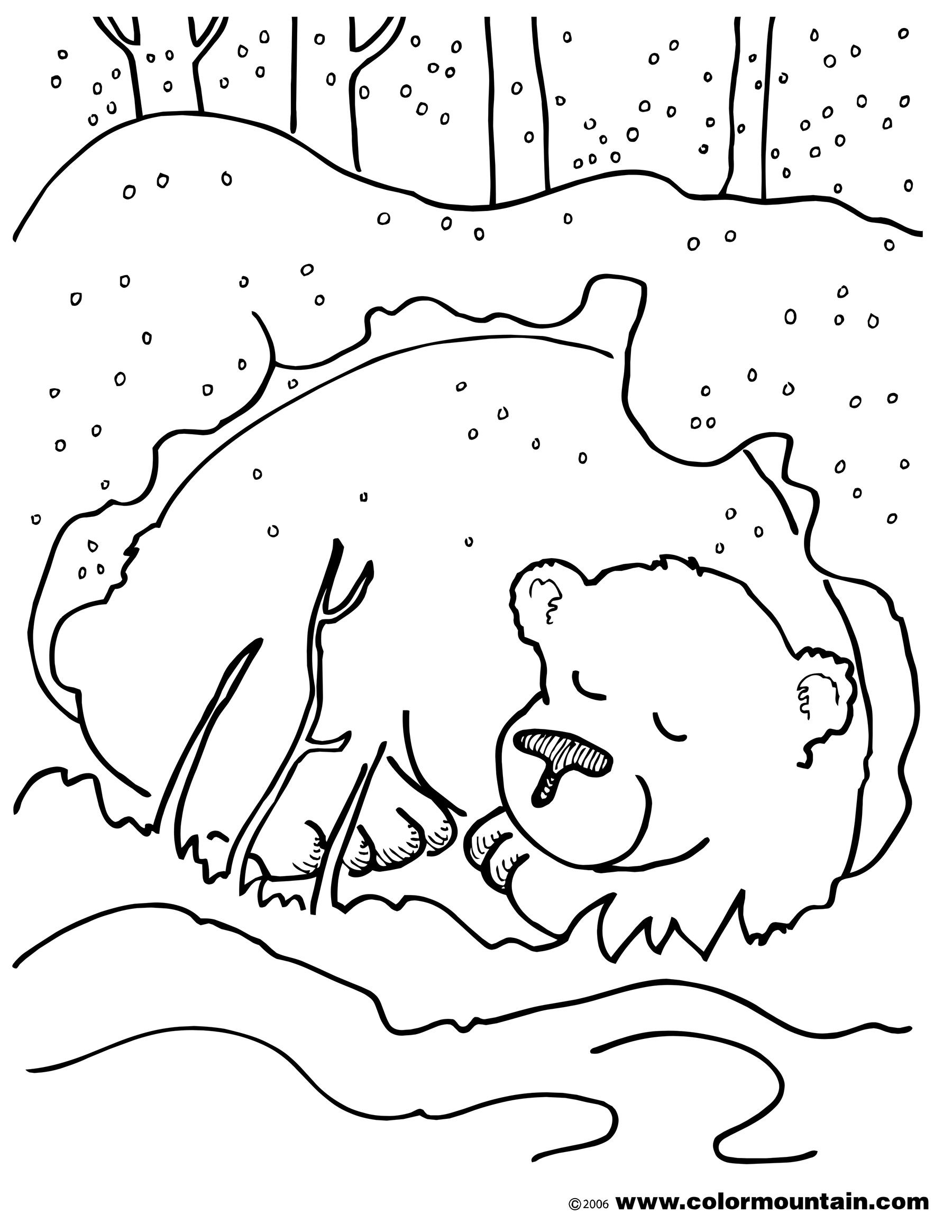 65 Hibernation Ideas Winter Preschool Hibernation Preschool Activities