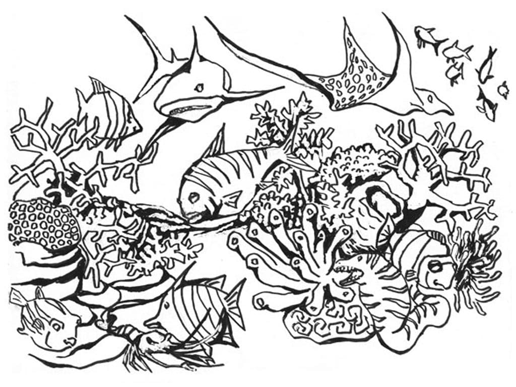 Adorable Ocean Creatures Coloring Page Download Print Or Color Online For Free Adorable Ocean Creatures Coloring Page Download Print Or Color Online For Free