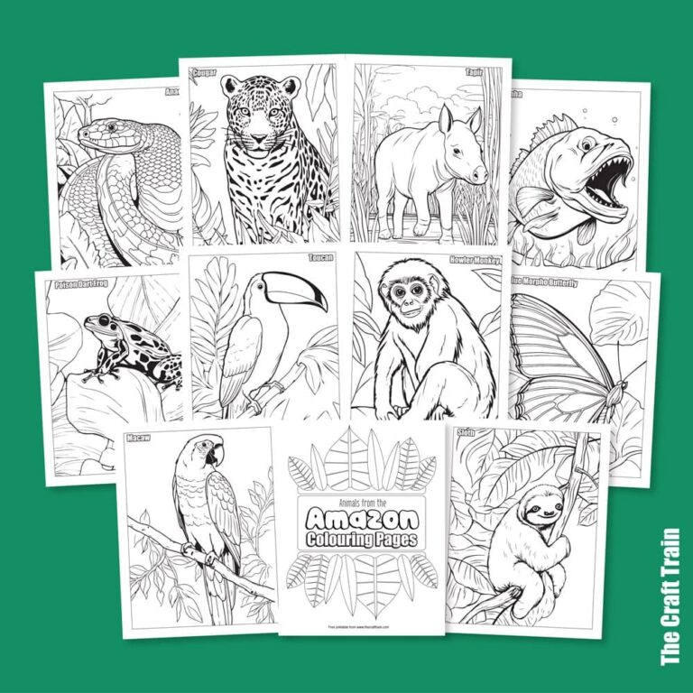 Amazon Animal Colouring Pages The Craft Train