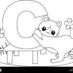 Animal Alphabet Coloring Book Illustration With Outlined Graphics To Color Stock Vector Image Art Alamy