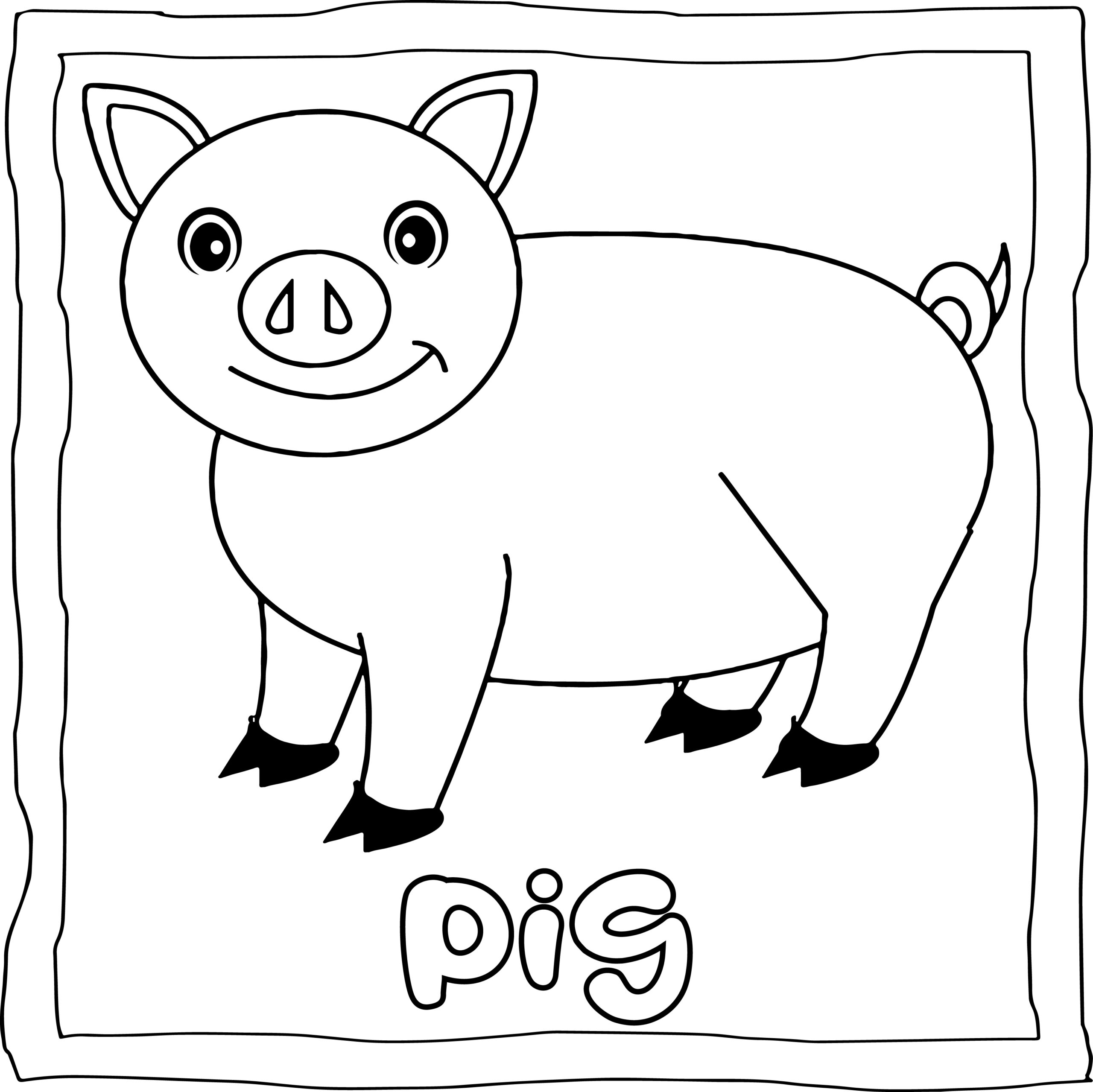 animal coloring book pages