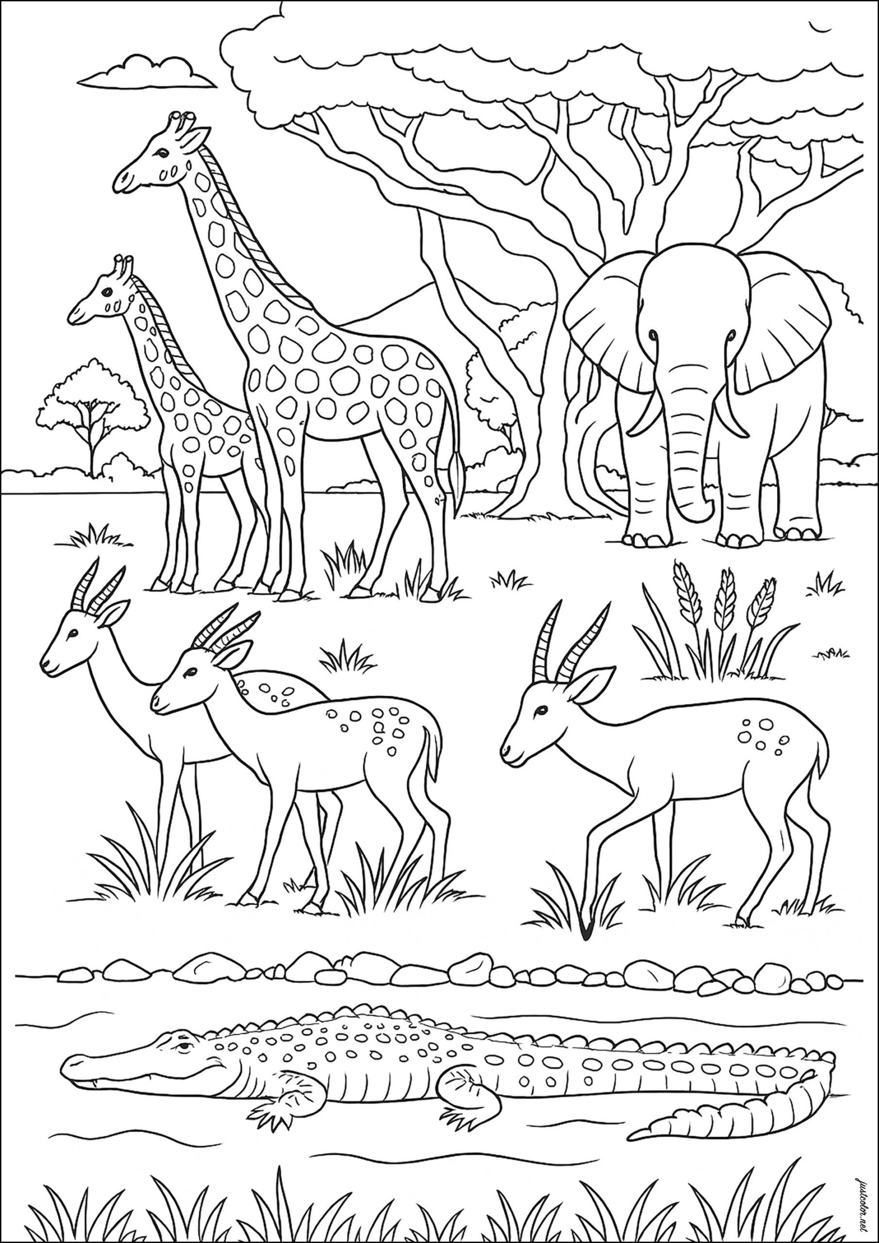 african animals coloring pages