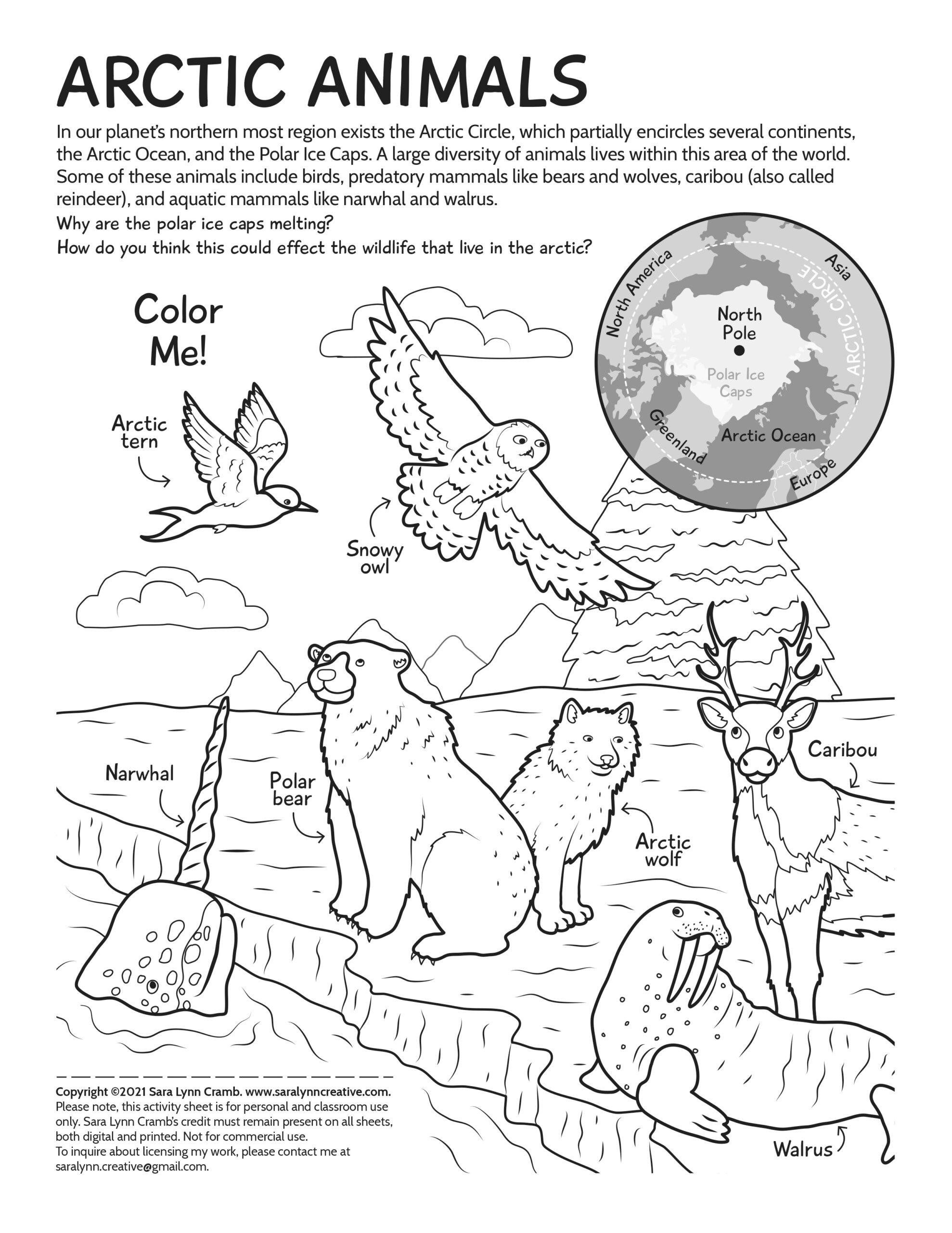 arctic animal coloring pages