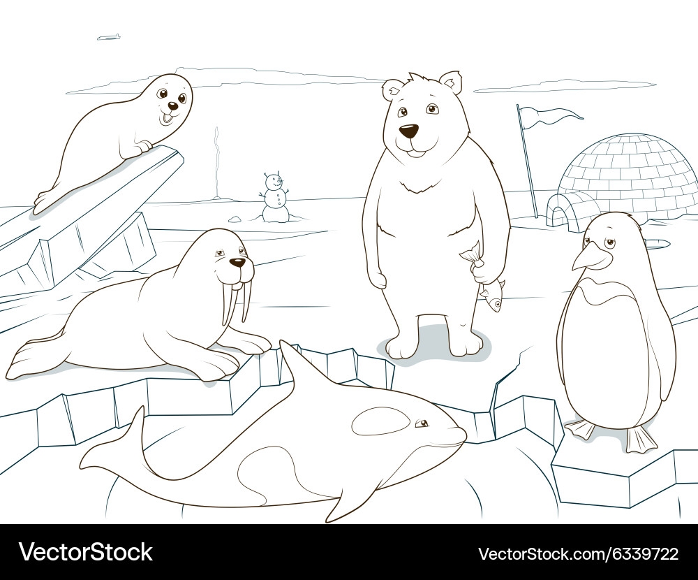 coloring pages arctic animals