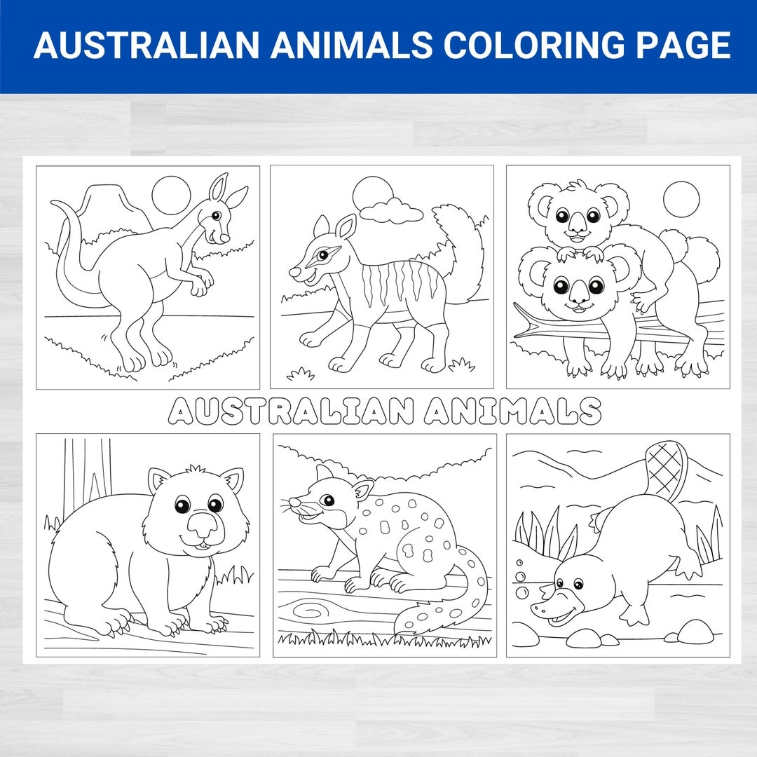 Australian Animals Coloring Page Marsupials Printable PDF Download Etsy