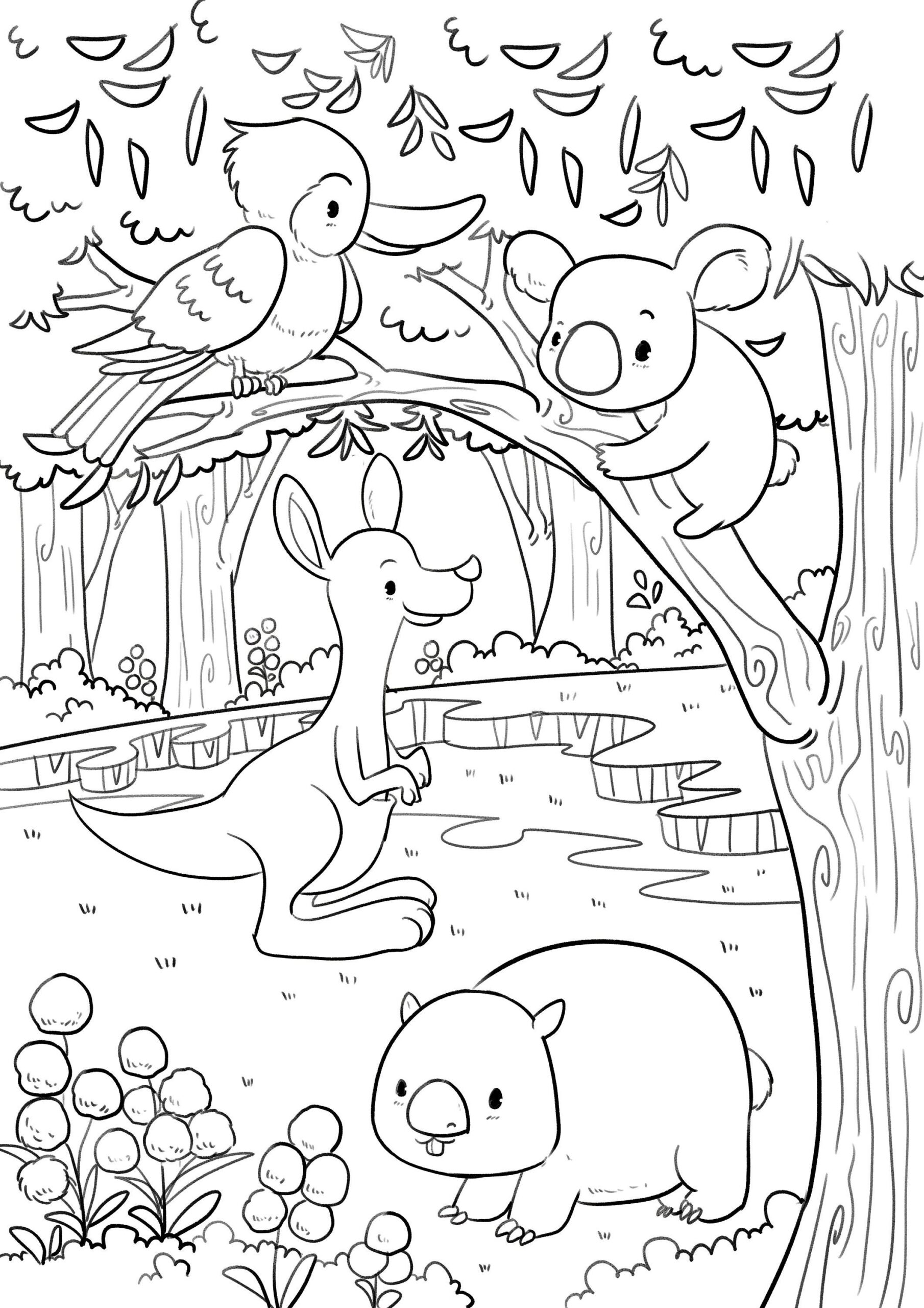 coloring pages of australian animals