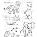 Baby Safari Animals Coloring Pages Etsy
