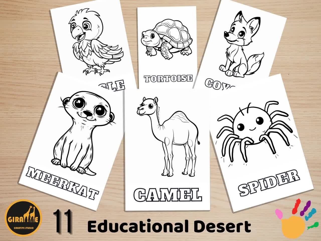 coloring pages desert animals