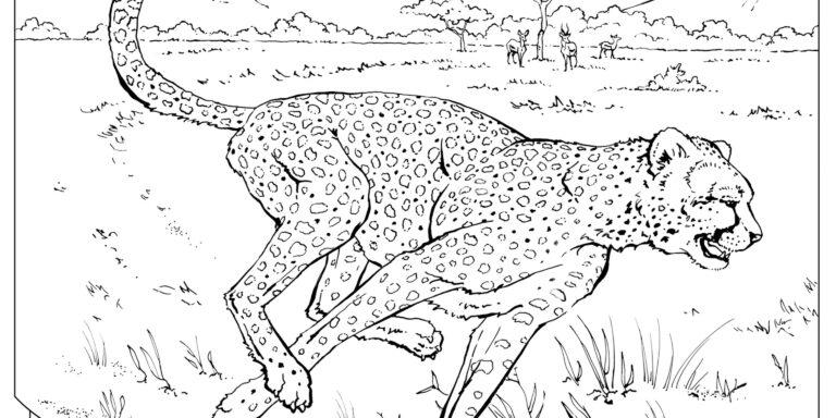 Coloring Book Animals A To I National Geographic Kids