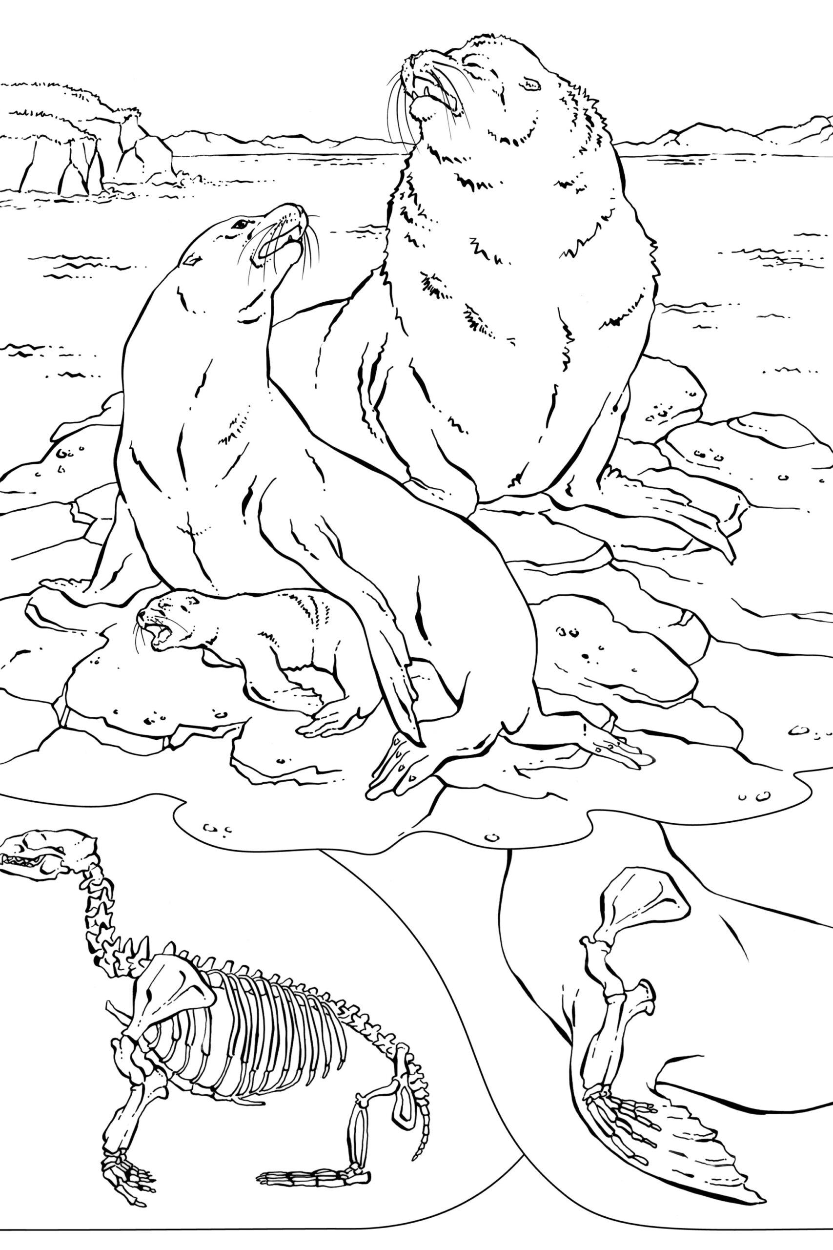 realistic animal coloring pages