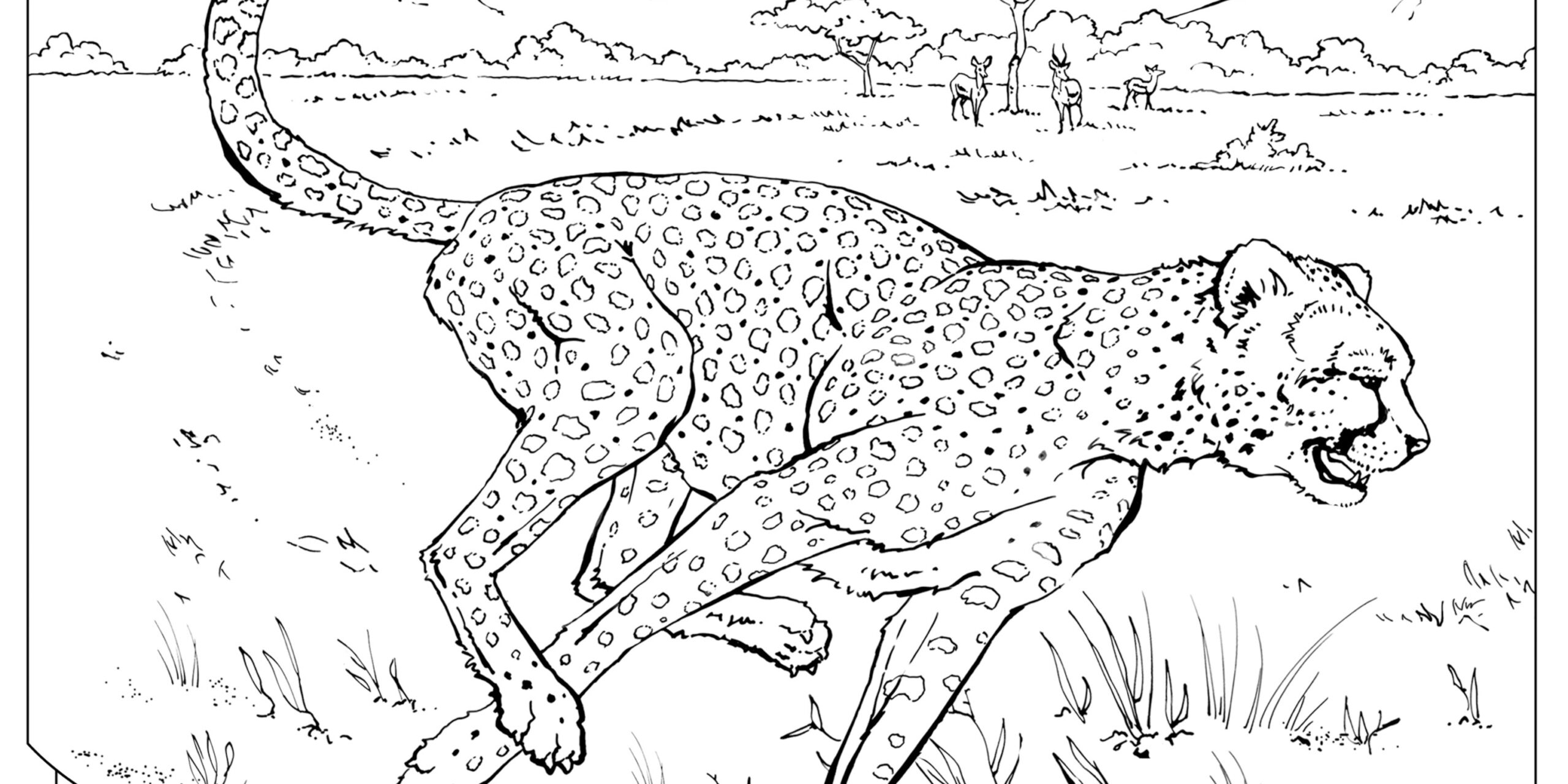 coloring pages of animals to print
