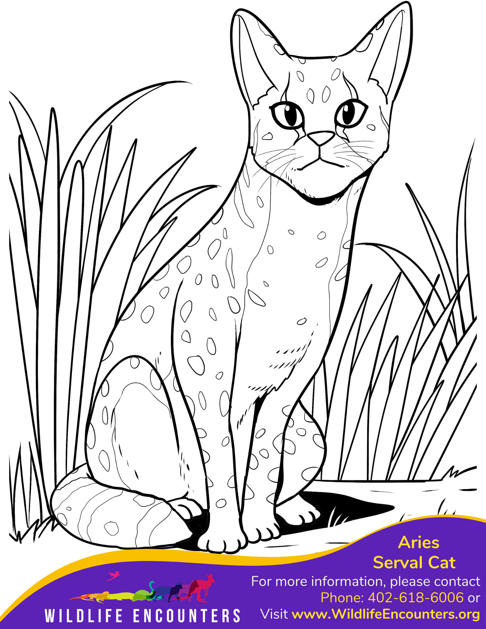 Coloring Book WILDLIFE ENCOUNTERS