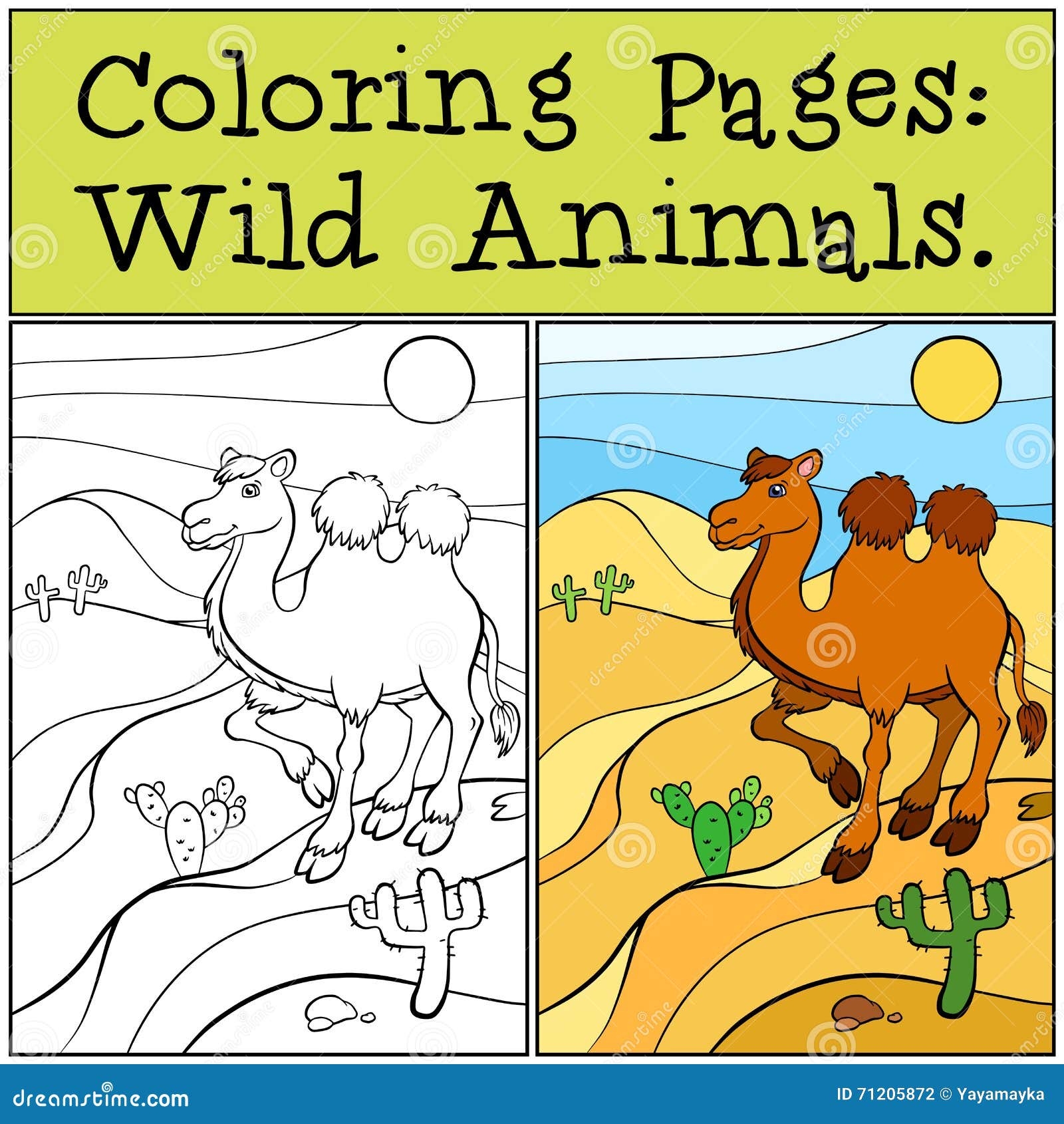 desert animals coloring pages