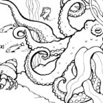 Coloring Pages Activities Monterey Bay Aquarium