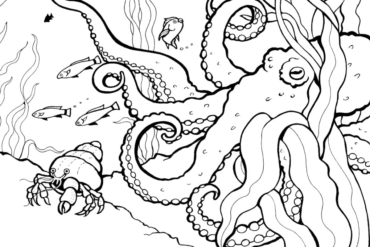 free coloring pages of animals