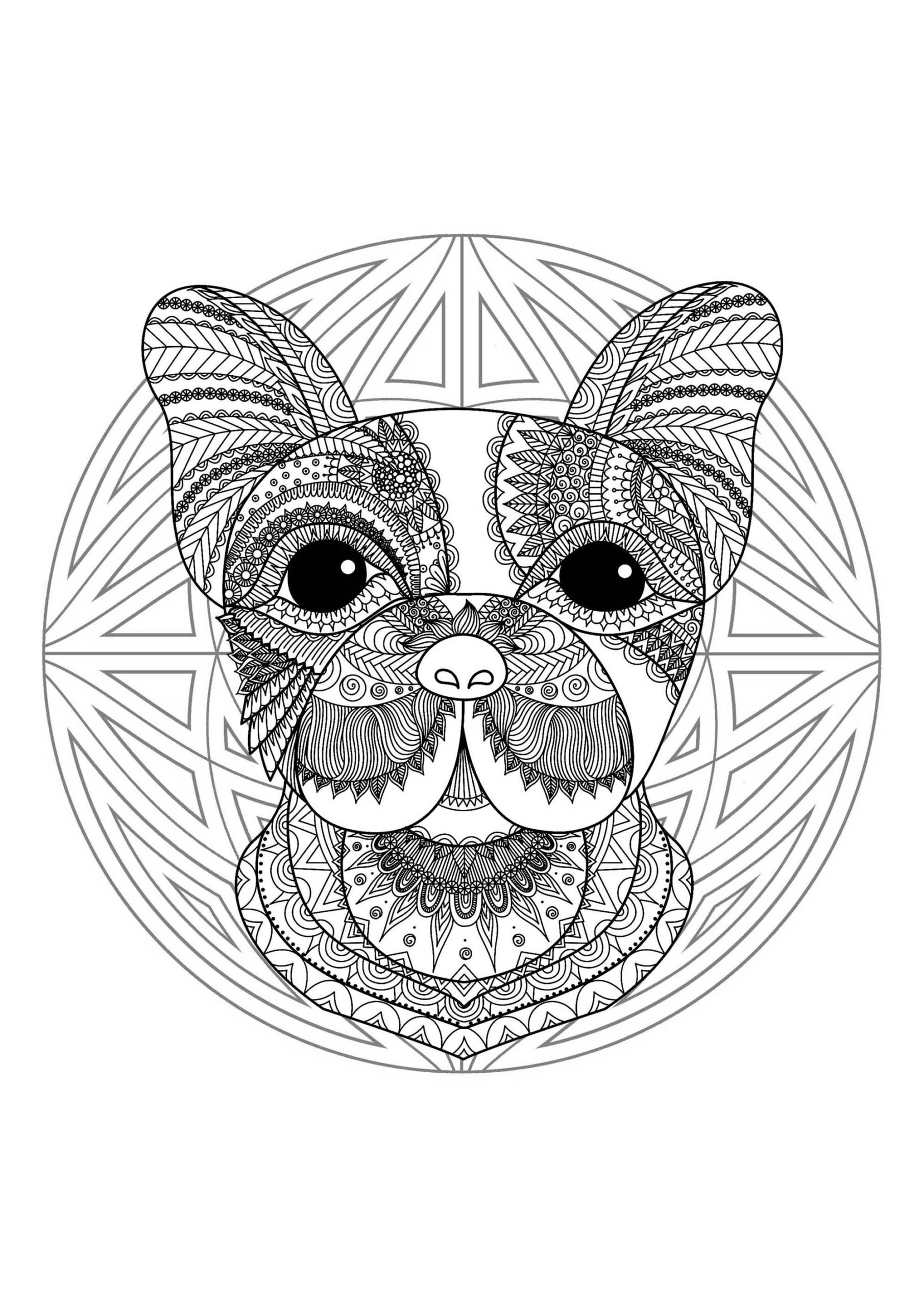 Complex Mandala Coloring Page With Cute Little Dog Head 2 Difficult Mandalas for Adults 