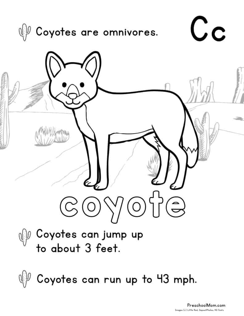 Desert Animal Coloring Pages Preschool Mom