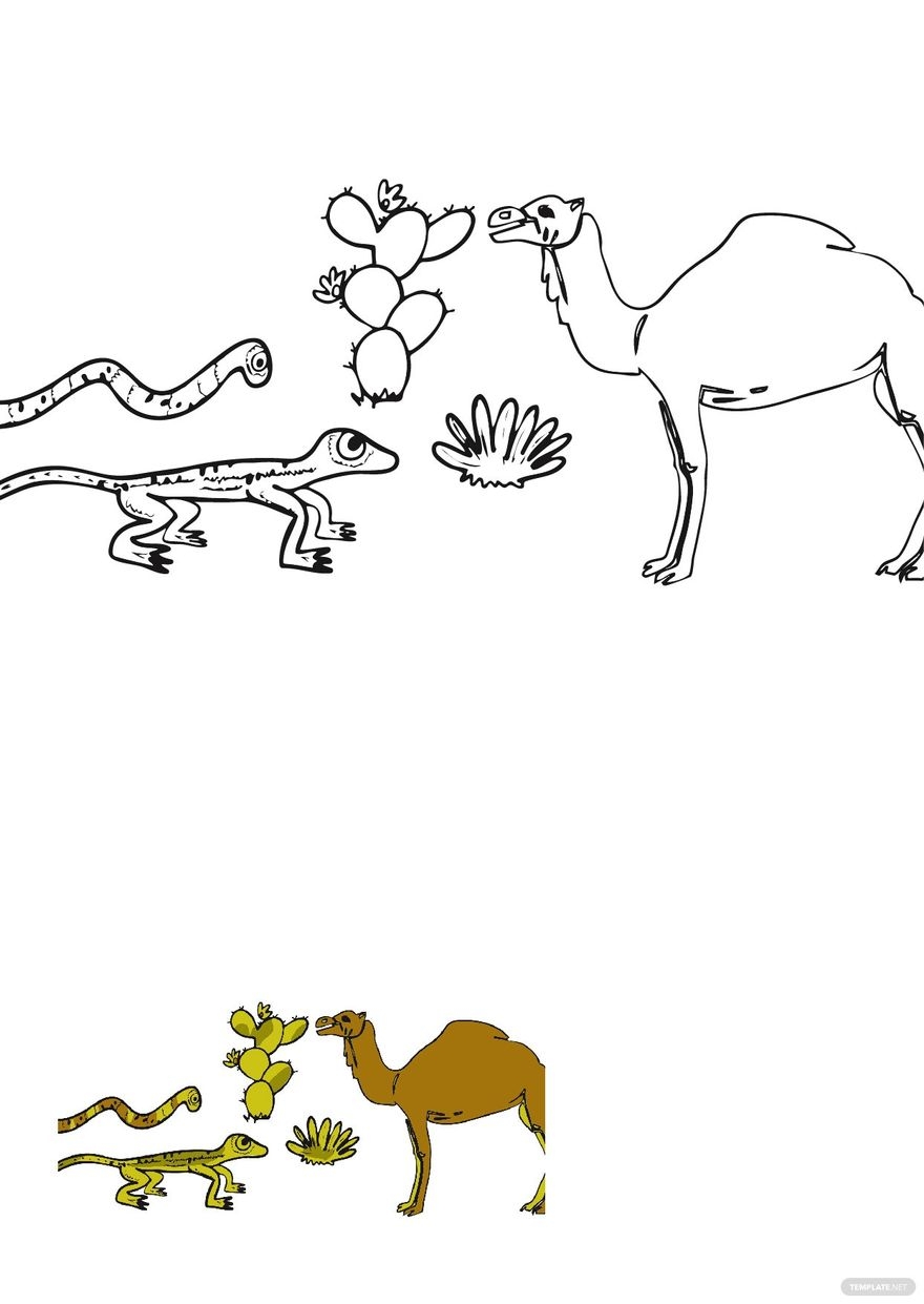 Desert Animals Coloring Pages In PDF Download Template Desert Animals Coloring Pages In PDF Download Template