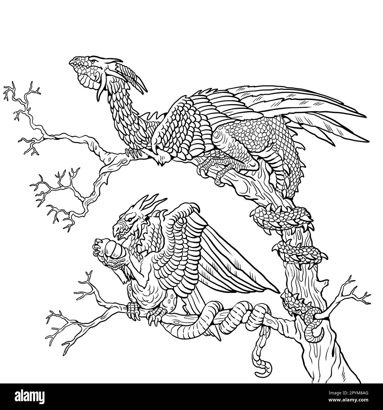 mythical animal coloring pages