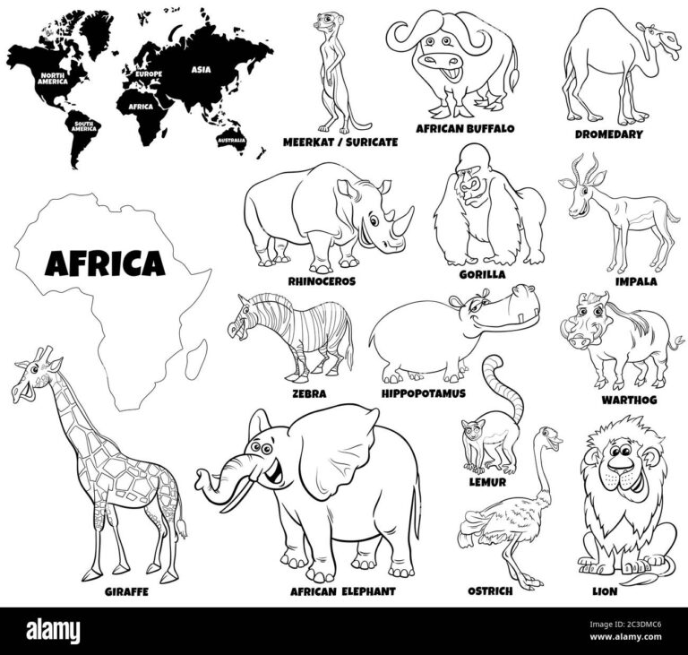 Educational Illustration Of African Animals Color Book Page Stock Photo Alamy