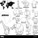 Educational Illustration Of African Animals Color Book Page Stock Photo Alamy