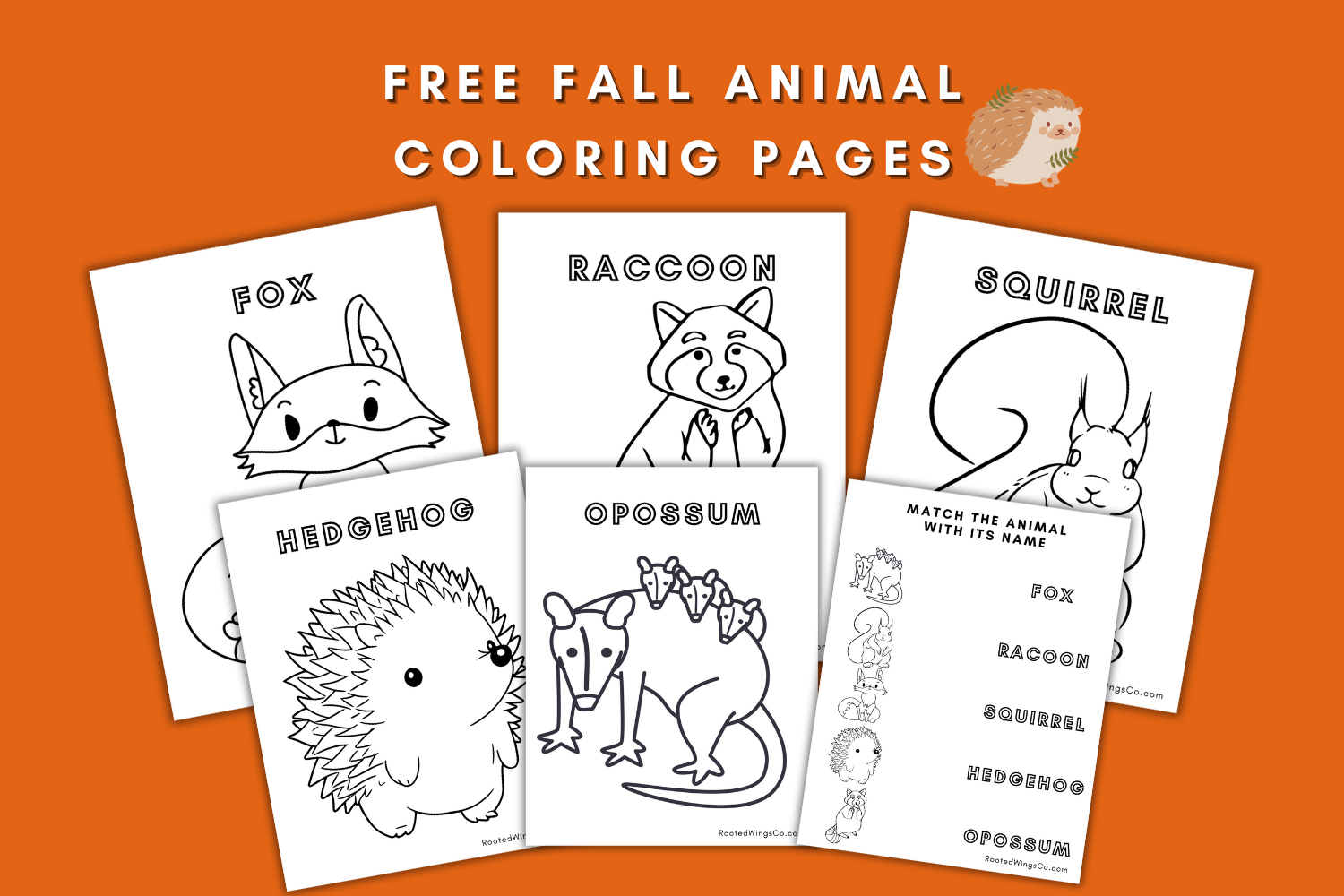Free Fall Animal Coloring Pages Rooted Wings Co