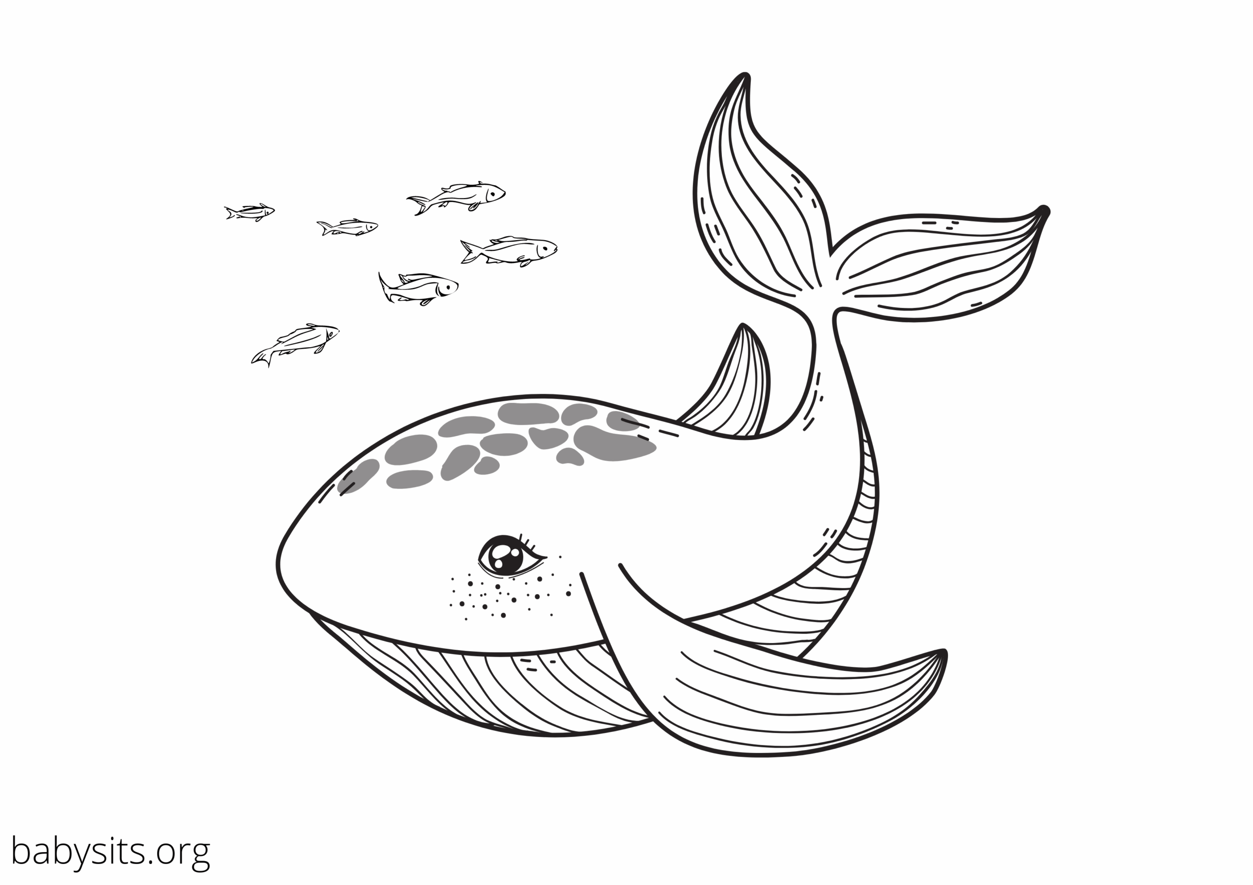 sea animals printable coloring pages