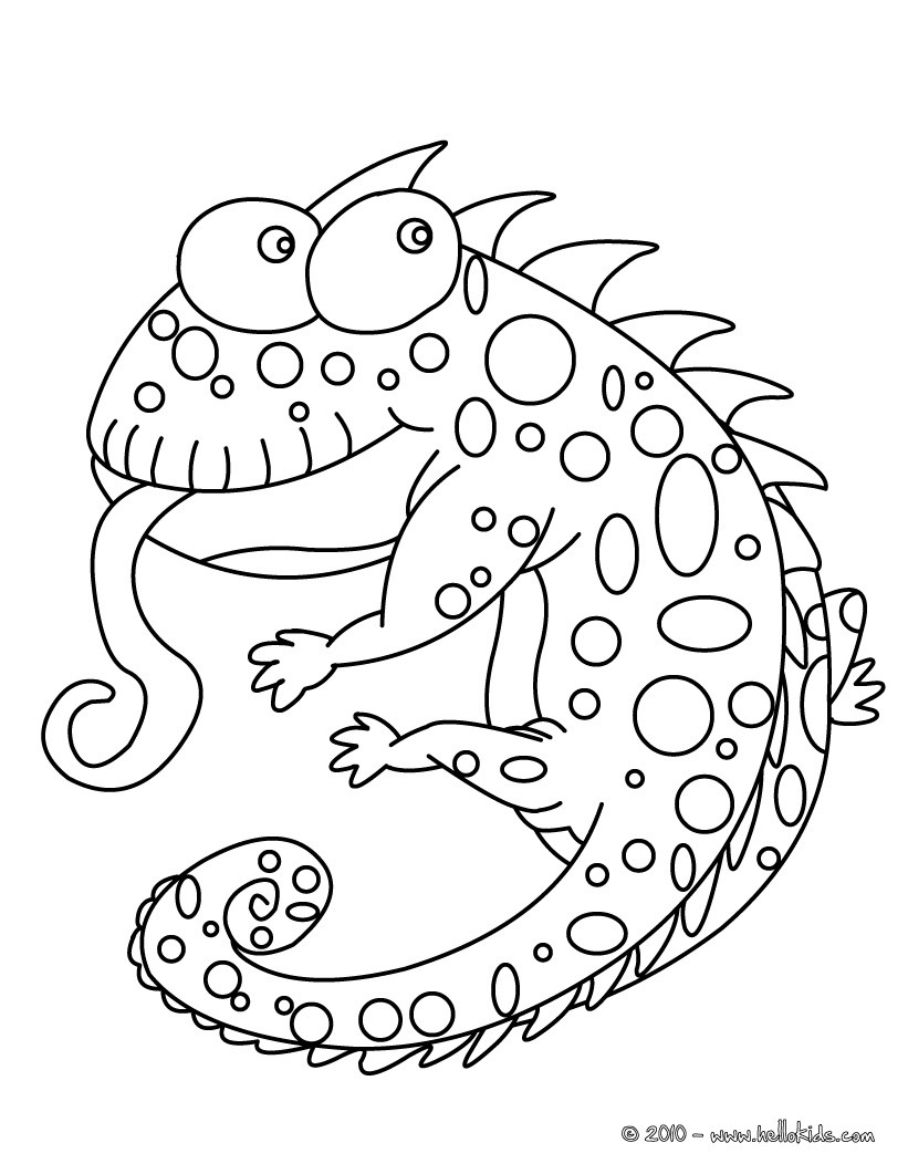 Funny Chameleon Coloring Pages Hellokids