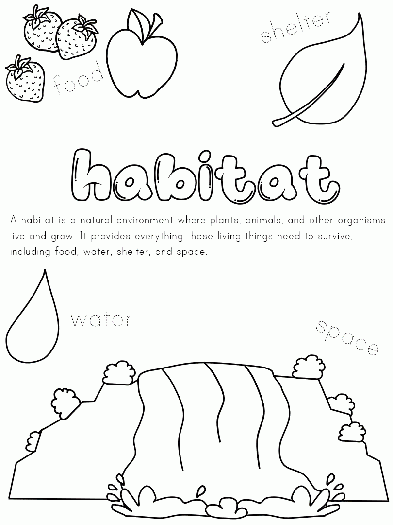 animal habitat coloring pages