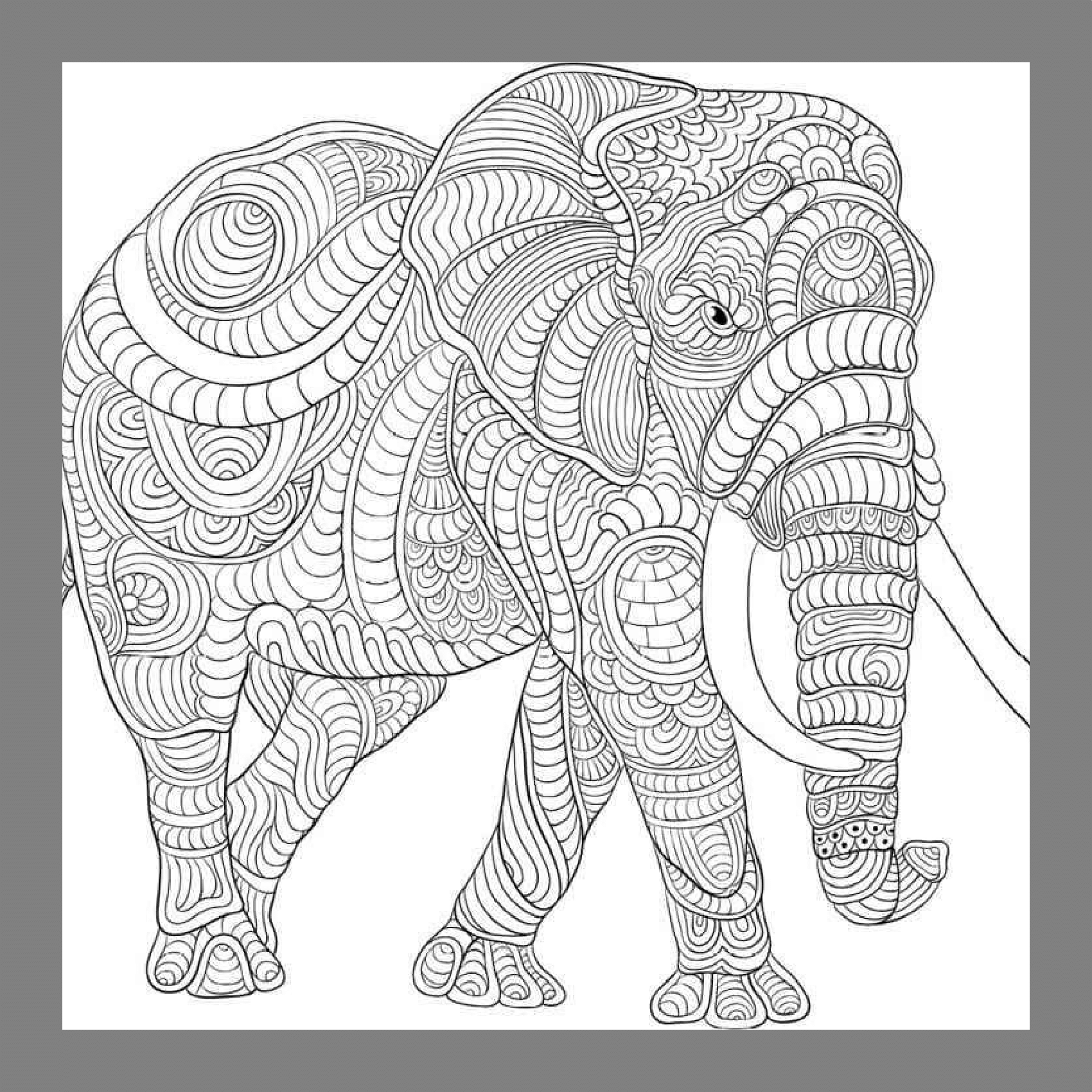 Intricate Animal Coloring Pages For Adults Relax Unwind Made By Teachers