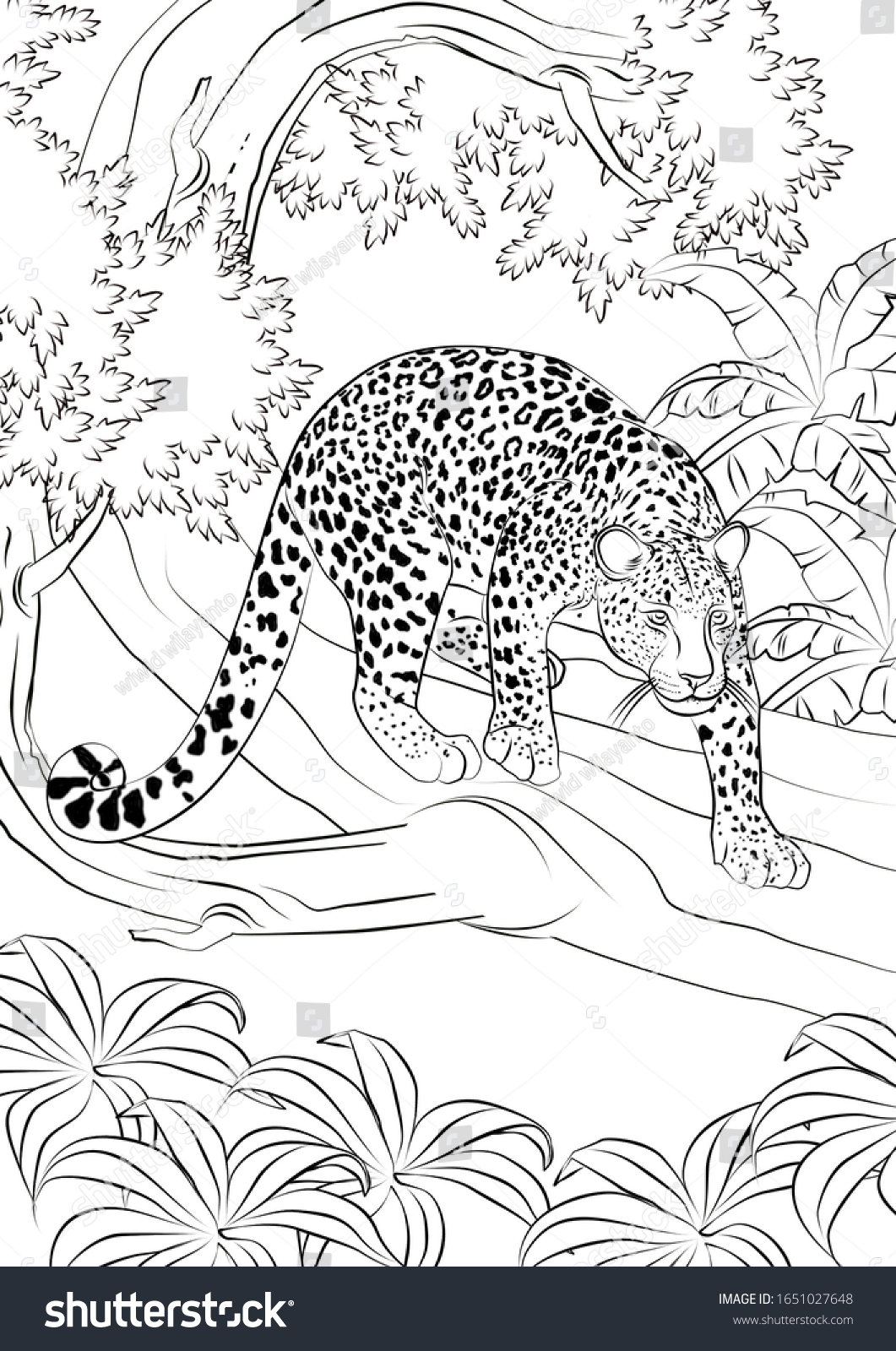 Leopard Realistic Animal Coloring Pages Stock Illustration 1651027648 Shutterstock Leopard Realistic Animal Coloring Pages Stock Illustration 1651027648 Shutterstock
