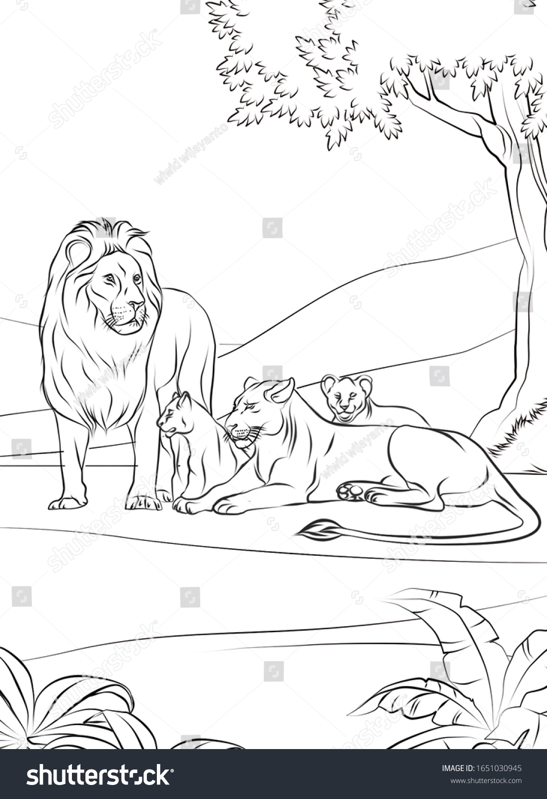Lion Realistic Animal Coloring Pages Adults Stock Illustration 1651030945 Shutterstock