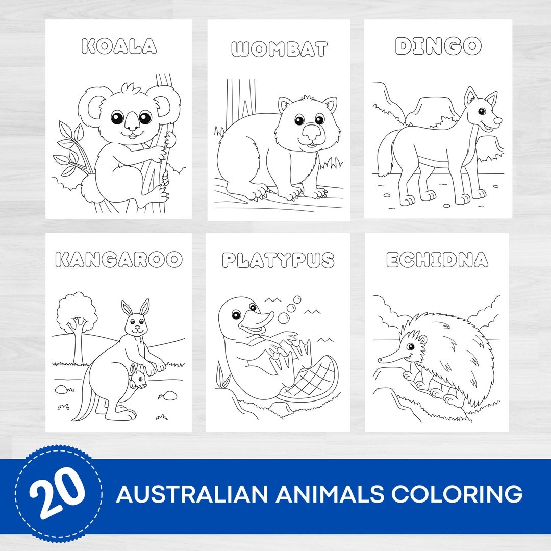 Native Australian Animals Coloring Pages Australian Animals Printables Australian Mammals Marsupials Coloring Coloring Printables Etsy
