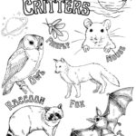 Nocturnal Critters Coloring Page Etsy