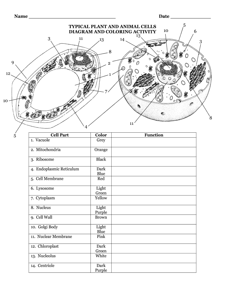 Plant Animal Cells Diagram Fill Out Sign Online DocHub Plant Animal Cells Diagram Fill Out Sign Online DocHub