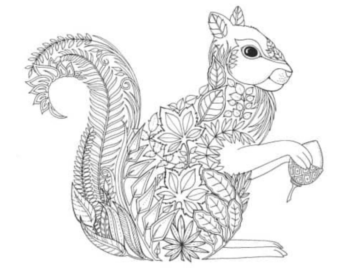 Printable Adult Coloring Pages Sweet T Makes Three