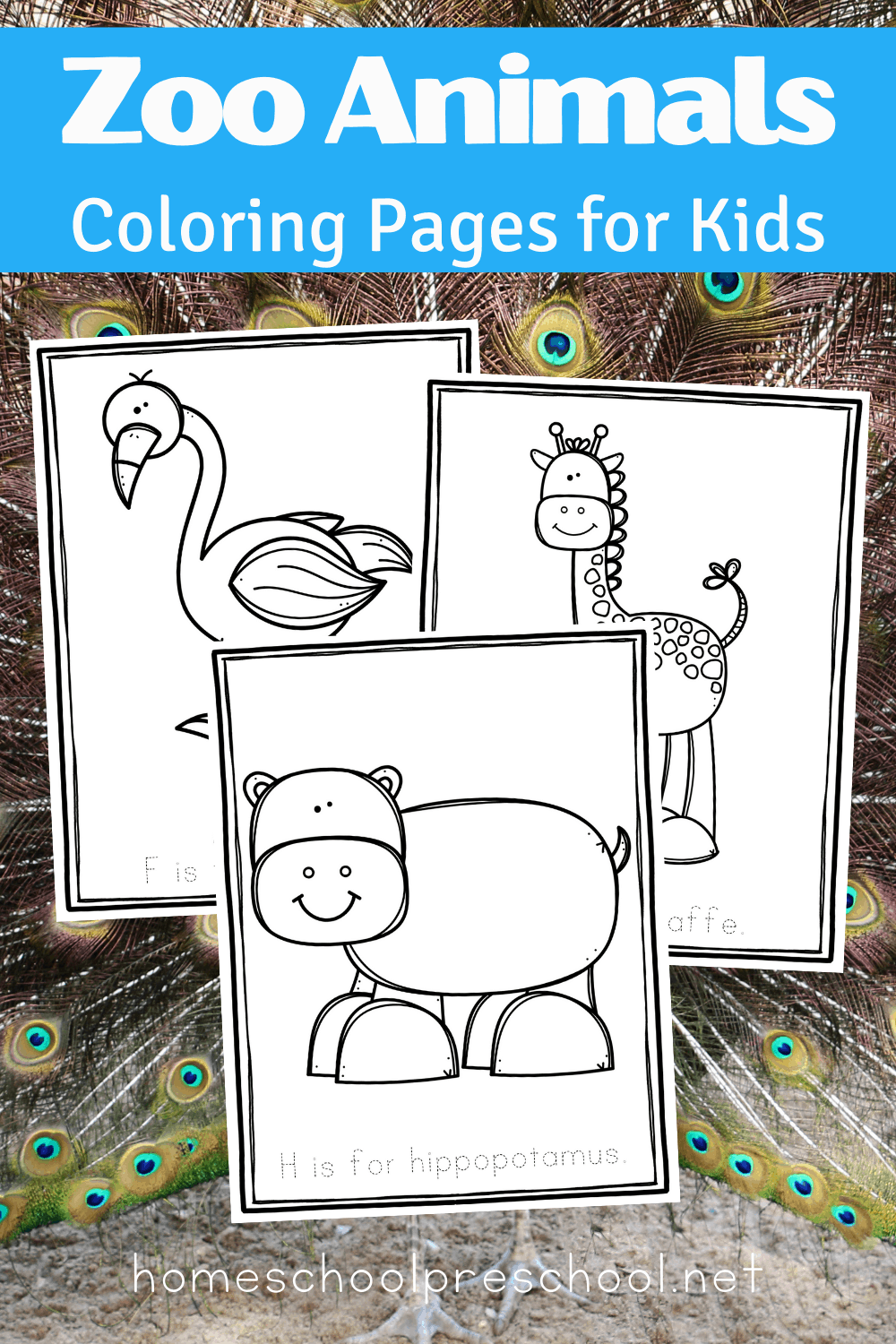 free zoo animal coloring pages
