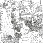 Rainforest Coloring Page Rainforest Alliance