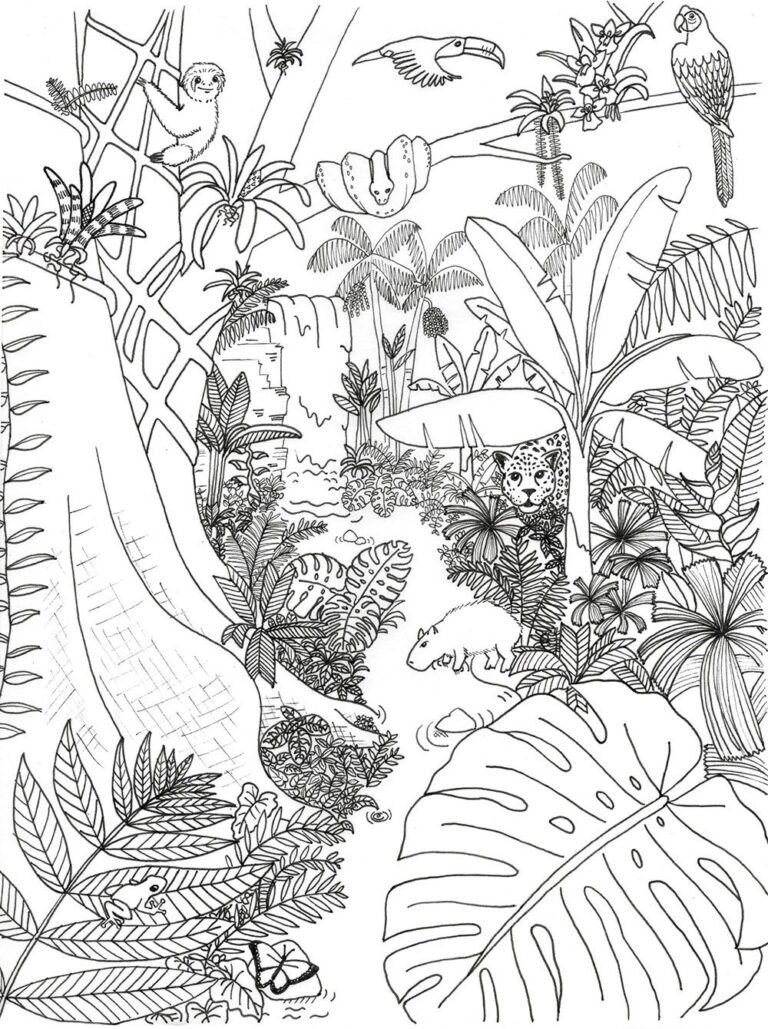 Rainforest Coloring Page Rainforest Alliance