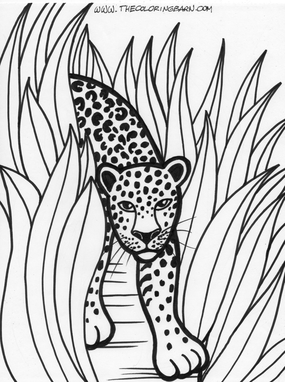 rainforest animals coloring pages