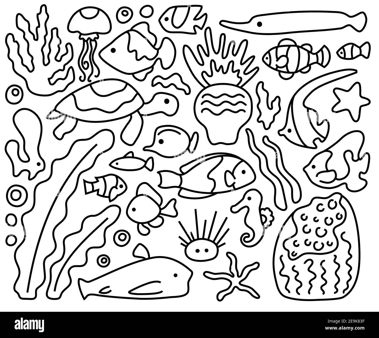 coral reef animals coloring pages