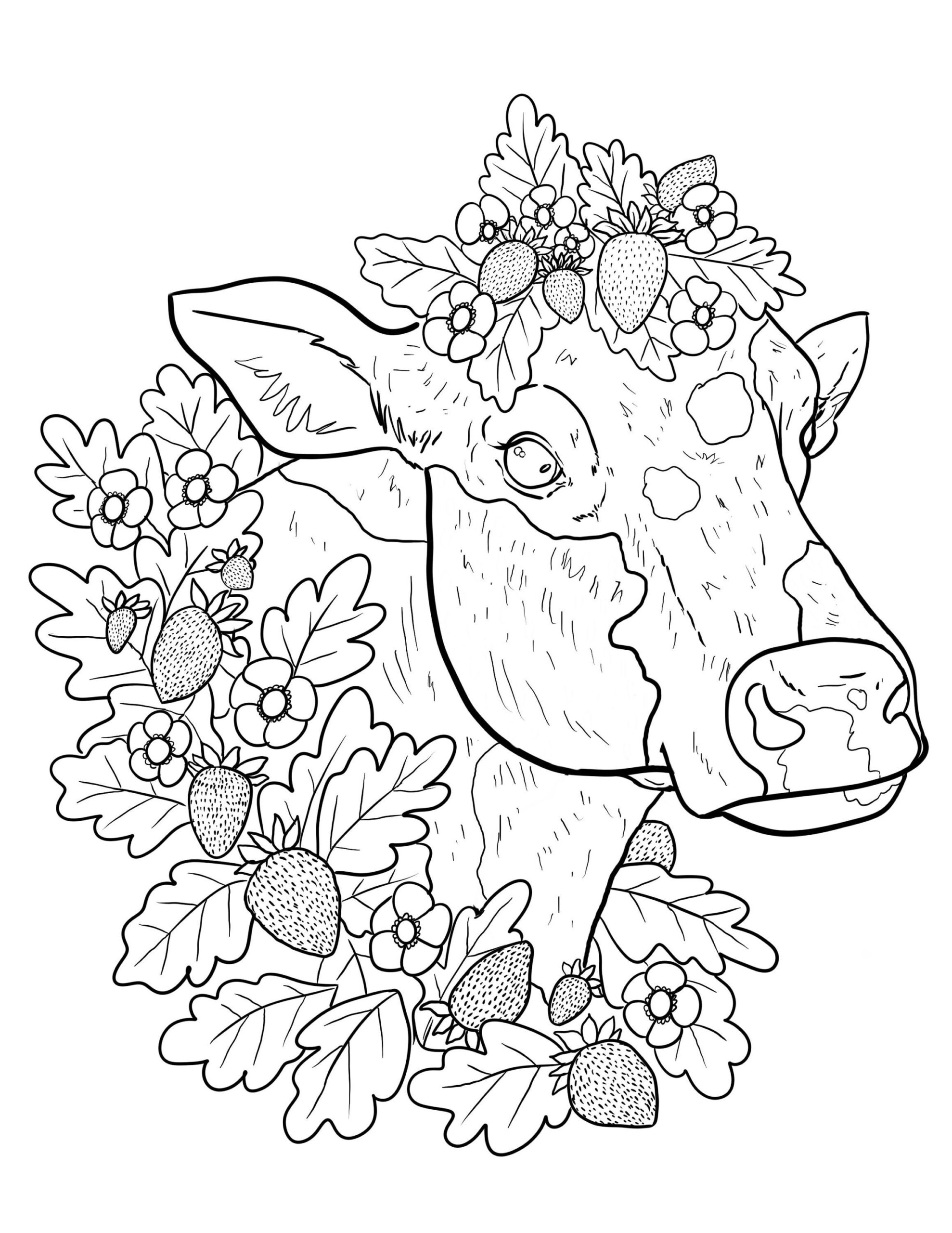 Cow Coloring Page