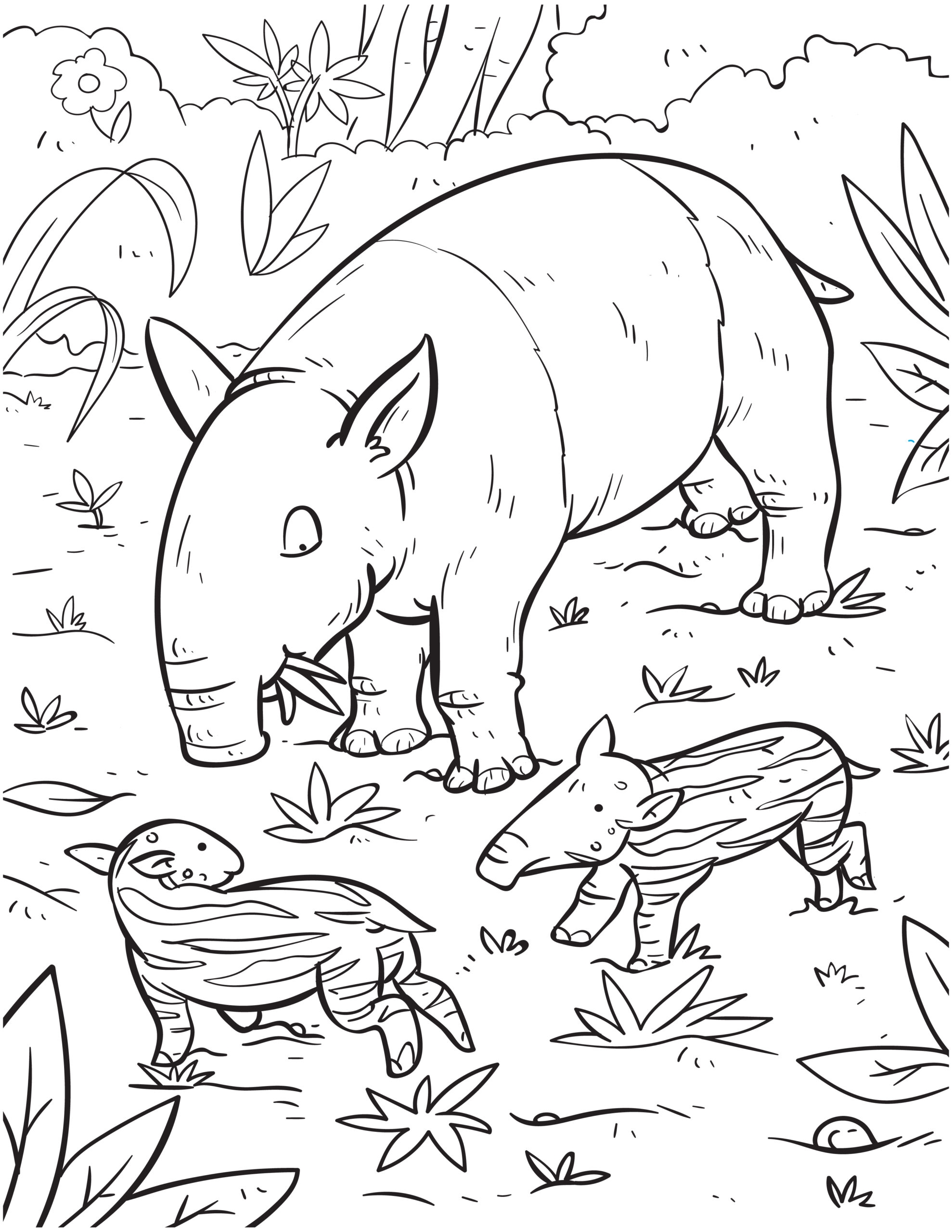 Wildly Fun Wildlife Coloring Pages For Kids Made By Teachers